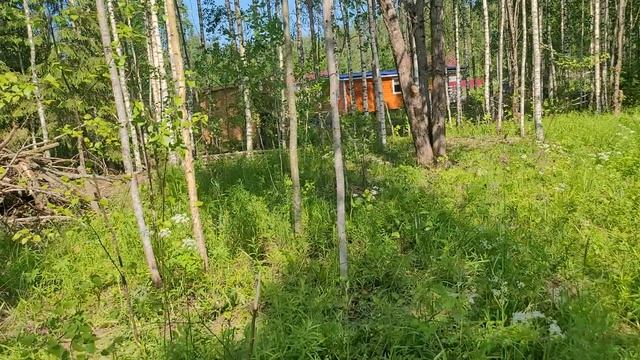 участок 14.06.25.mp4