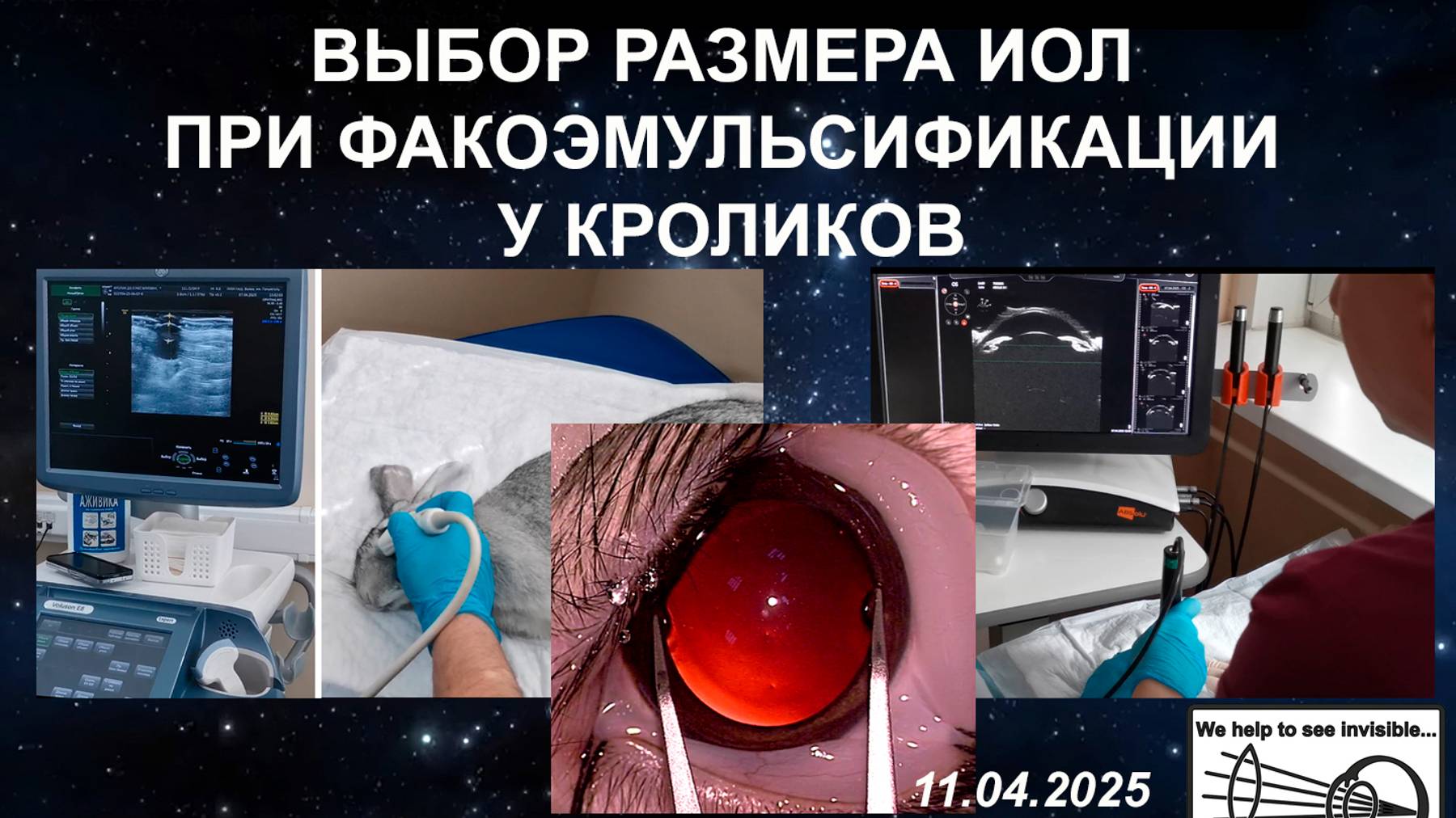 Выбор размера ИОЛ при факоэмульсификации у кроликов