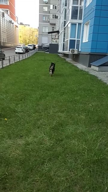 VID_20250419_165851.mp4