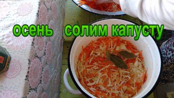 осень // солим капусту