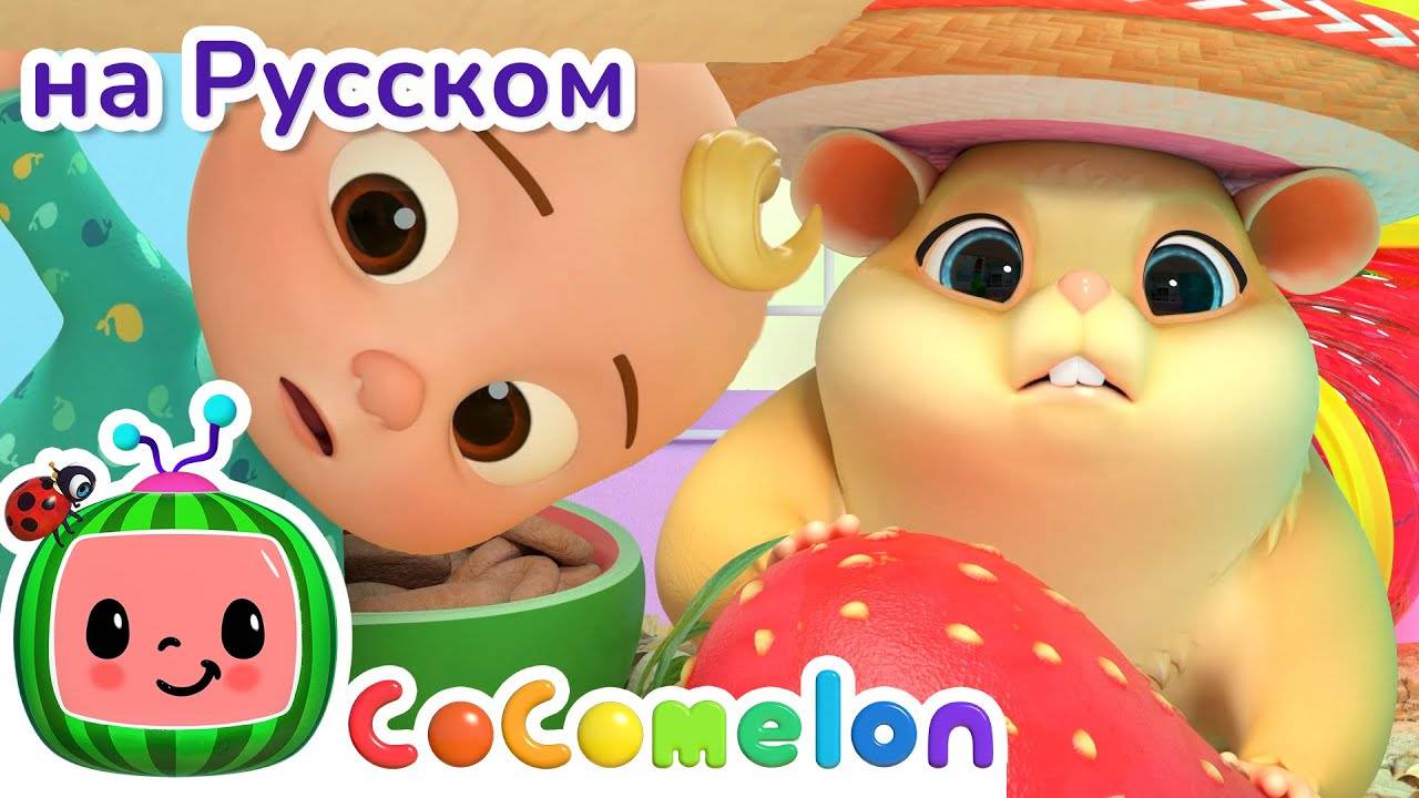Поиск хомяка - Новая Серия💫 ｜ CoComelon на русском — Детские песенки - CoComelon на русском