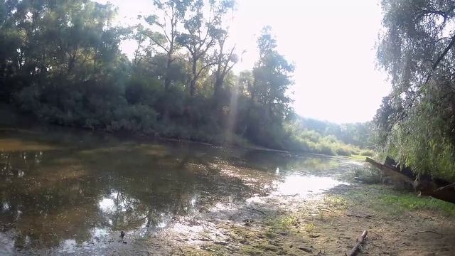 Утренняя прогулка. 😊