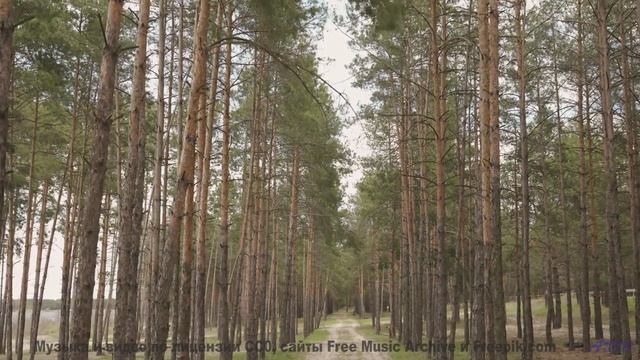 Песня, которая звучит громче, когда поёшь её хриплым утром в палатке - Sunday -- SUPERARE -- IX