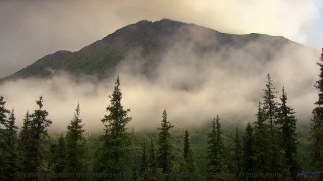 Ты точно ОДИН слушаешь это - Sacred City -- Phillip Gross -- Jupiter