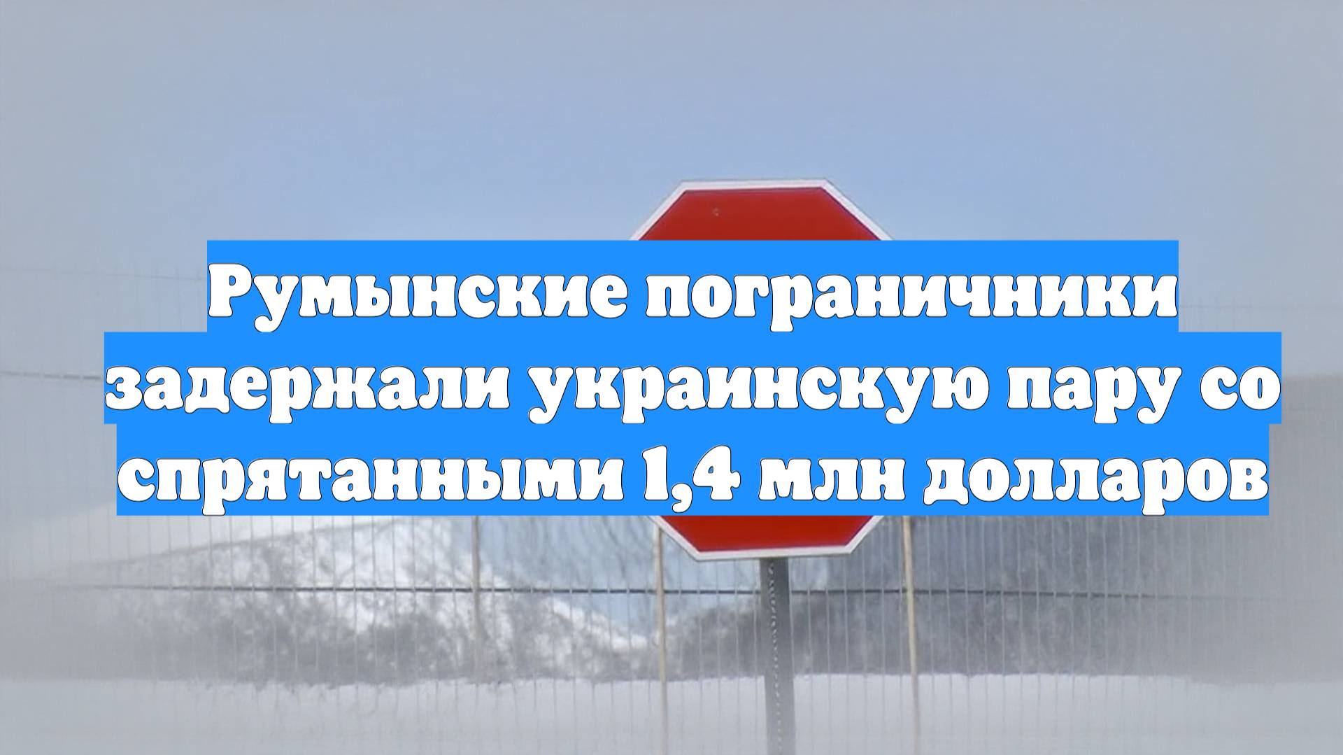 Румынские пограничники задержали украинскую пару со спрятанными 1,4 млн долларов