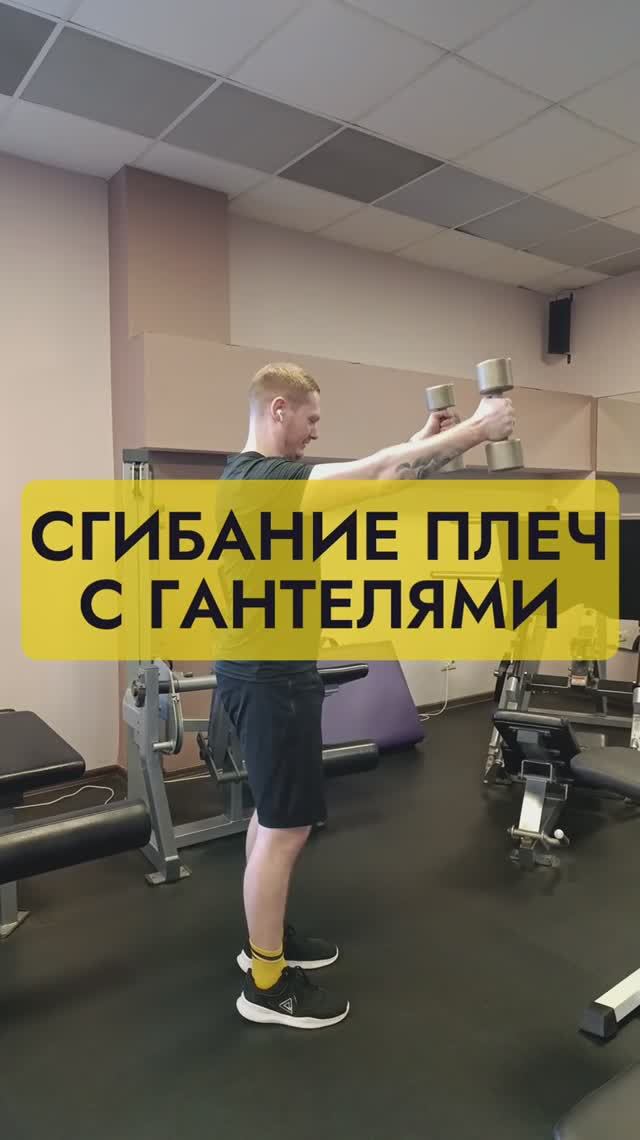 Сгибание плеч с гантелями