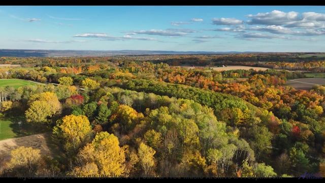 Горы, серпантин и музыка, которая круче любого двигателя! - Fool -- Red Crickets -- Red Crickets