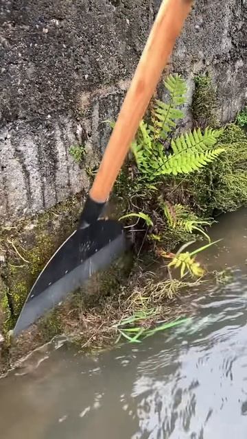 Clean the irrigation channels using a shovel #shorts