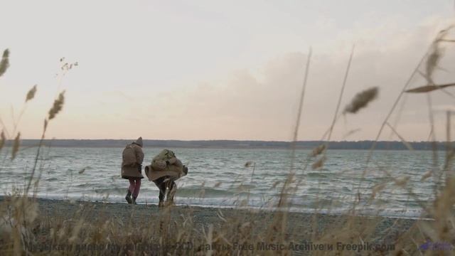 Голова кружится, когда виды и музыка сплетаются - Static -- HoliznaCC0 -- Lo-fi And Chill
