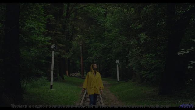 Музыка несёт туда, где слова бессильны - Who Thought -- The Proper Ornaments -- Live at WFMU for the