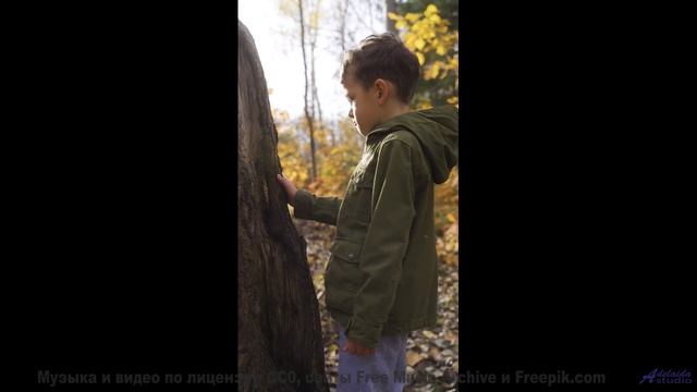 Мелодия превращает поля в магические пространства - comes on time -- Tinmouth -- Surprise time