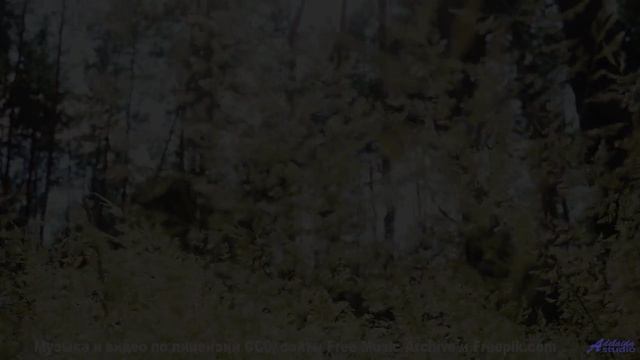 Пейзажи проникают в кровь вместе с этим саундом - Found Amongst the Rocks -- Ketsa -- Vitality