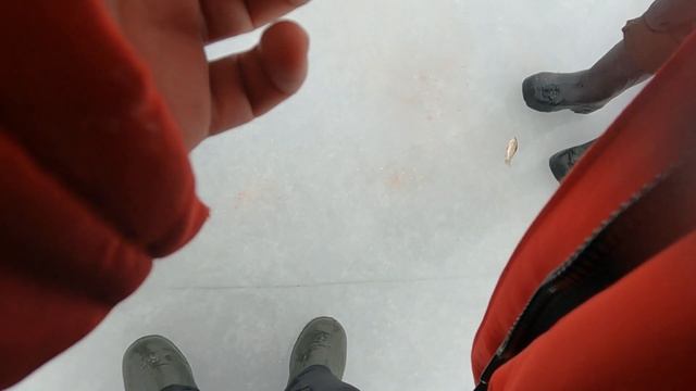 ЗИМНЯЯ РЫБАЛКА. ЗЛЫЕ ЩУКИ ПОДМОСКОВЬЯ.  СМЕШНЫЕ КУРЬЕЗЫ С ЖЕРЛИЦОЙ.