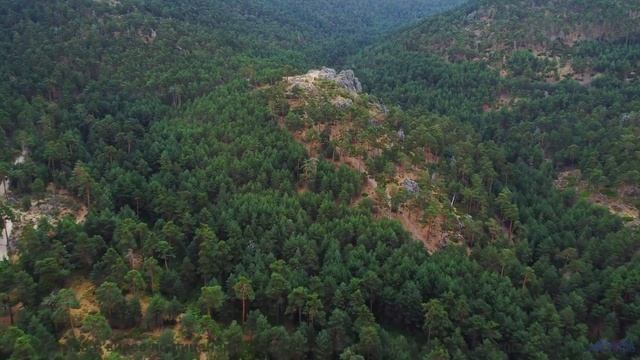 Ты НИКОГДА не слышал ничего подобного! - A Canadian Flag in Jakarta -- Pulse Burst -- Unnamed album