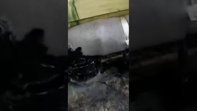 Монтаж выводов канализации