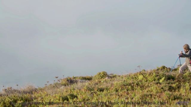 Никогда не видел таких полей под такой саунд - Who We Are -- Taylor Poe -- 10 Million Babies