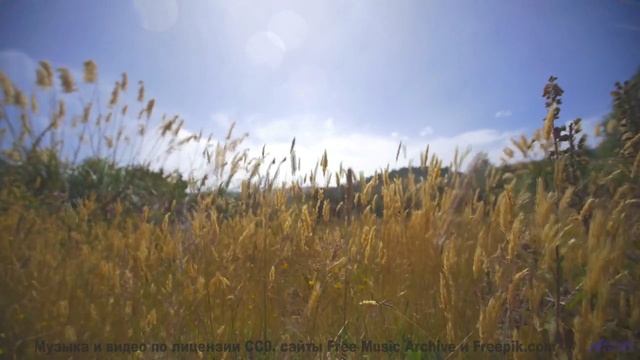 Дорога, звёзды и музыка, которая сводит вас с ума! - Celebracio (XLIII) -- opo -- Estudios Indigenif