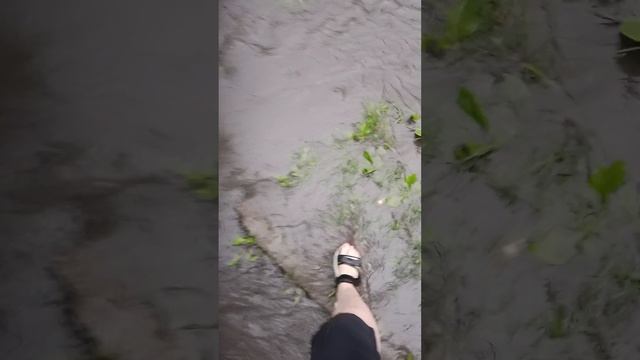 потоп откладывается на потом