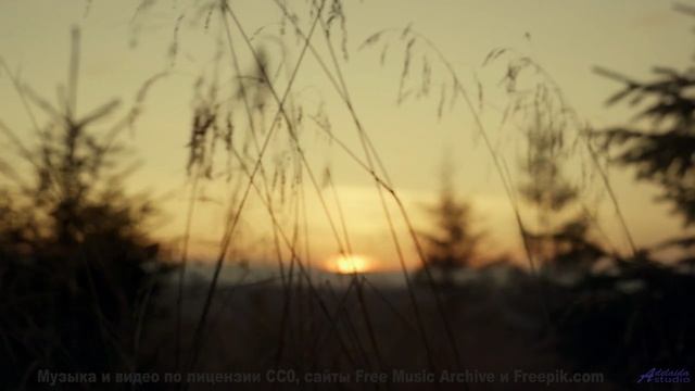 Это видео - как путешествие на край света! - Goin Down -- Jeremy Allingham -- Run Wild