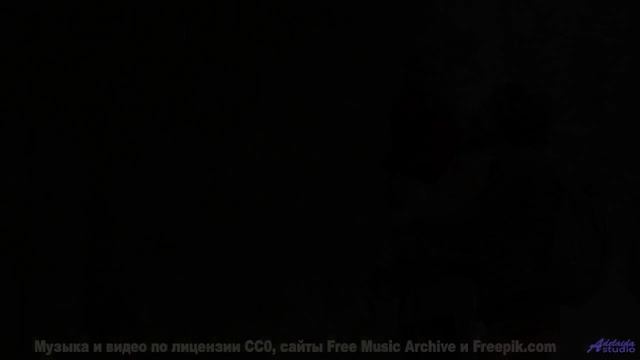 Не включай, если не готов влюбиться в Землю - Ballade De Johnny -- Les Sans Culottes -- Live at WFMU
