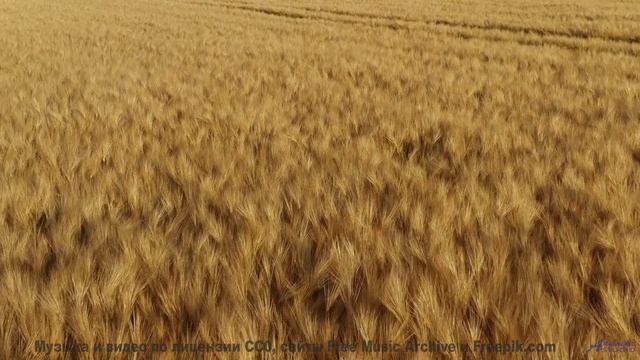Когда единственный правильный маршрут - тот, где звучит эта песня - Praying For A Blessing -- Kirk O