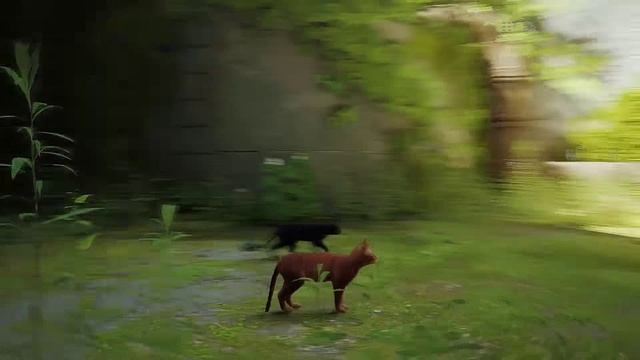 Stray - прохождение на русском языке #1
