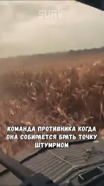ПОДПИШИСЬ НА НАШУ ТЕЛЕГУ #страйкбол #рекомендации #shorts #airsoft #military #мем #memes