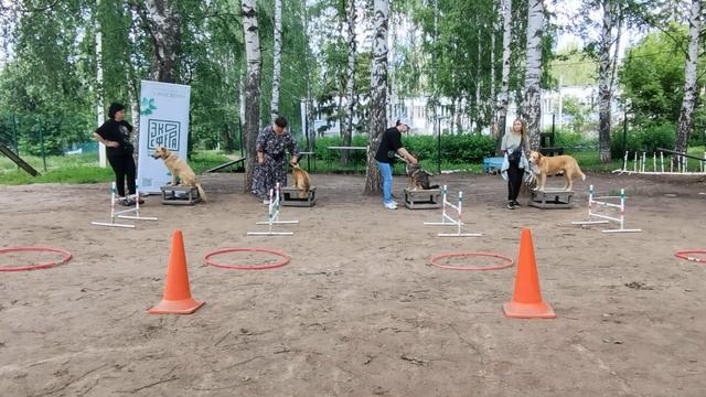 занятие 15.06.25