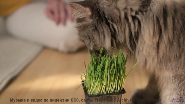Пейзажи раскрываются вместе с каждой новой мелодией - I Wont Let You Down -- Derek Clegg -- Old Town