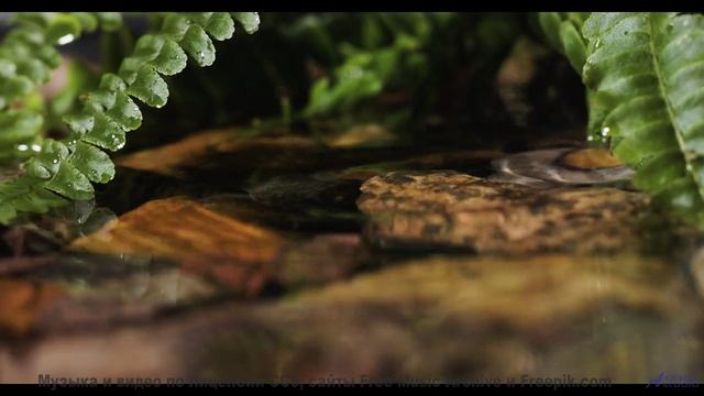 Поля танцуют, когда включается такой саунд - The Easy Life -- PLANET WARDO -- PLANET WARDO