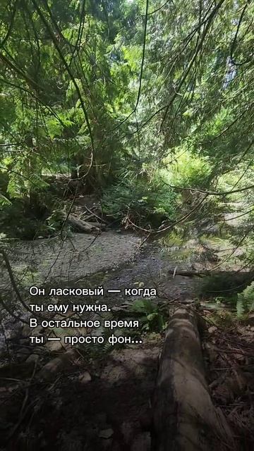 Ты то нужна, то нет...