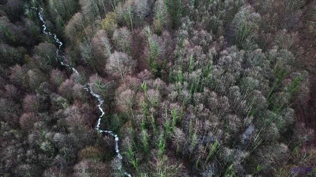 Вы не путешествовали, пока не услышали этот саундтрек! - Подвыпивший монах (feat. МЦ Кожух Реактора)