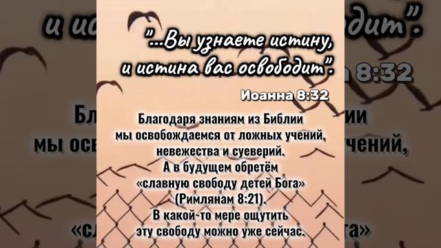 VID_20250615_175338_517.mp4