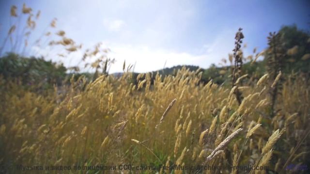 Идеальный саундтрек для вашего самого романтичного вечера! - Symphony No. 1 I. Hope -- Steve Combs -