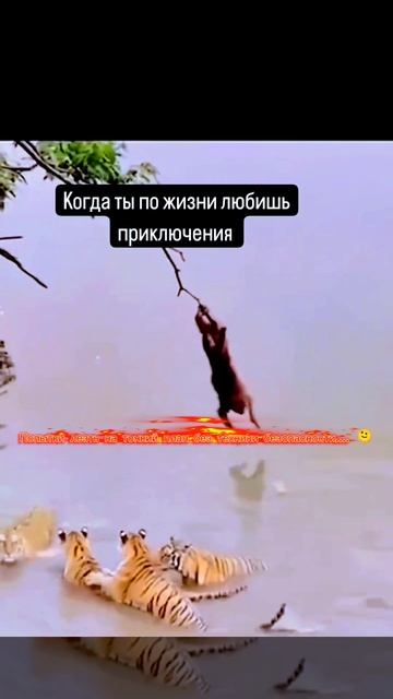 ...😀🫠....,