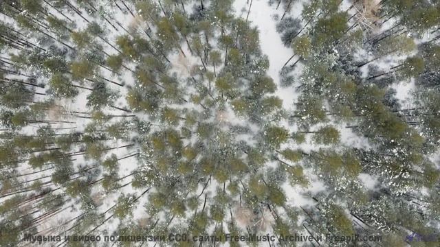 Глаза не моргают, пока звучит такой ритм - Undone -- Bus Window -- Flying High