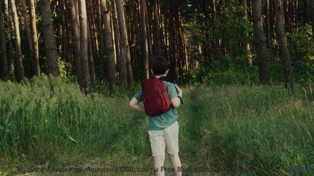 Дорога, звёзды и музыка, которая сводит вас с ума! - Ancient Memories -- HoliznaCC0 -- Forager