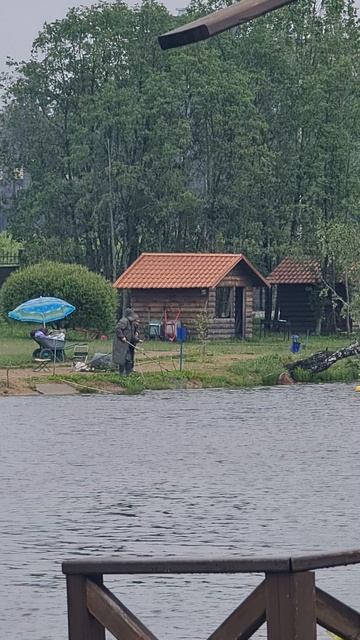 Поимка карпа