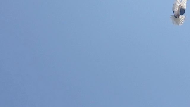 1000046838.mp4