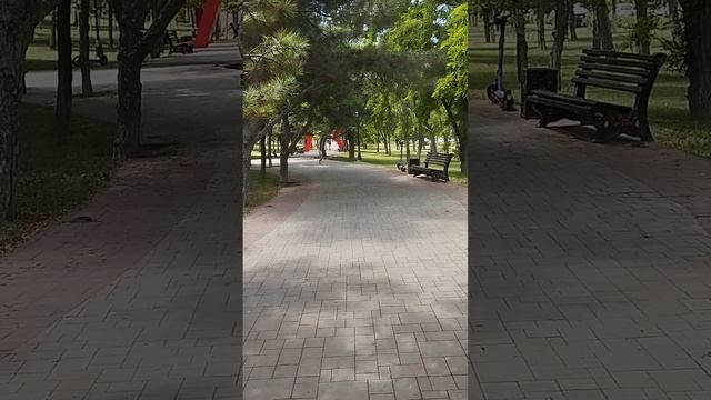 1000469032.mp4