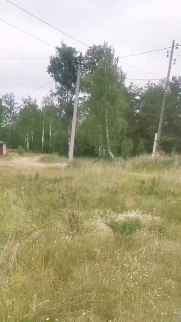 костоусово1видео
