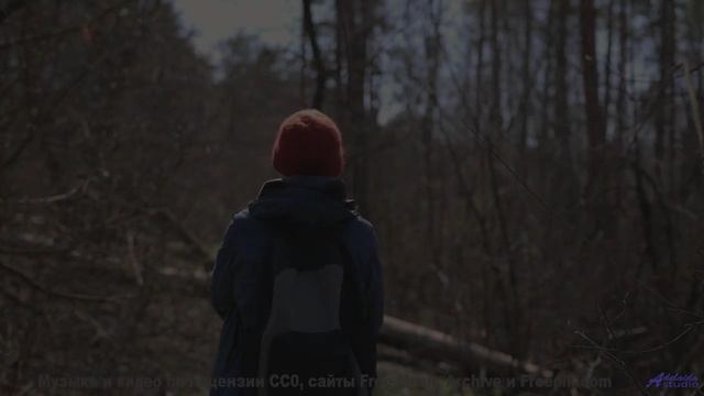 Каждое дерево качается в такт этой сильной композиции - Sandbox Jingle -- Scott Holmes Music -- Musi