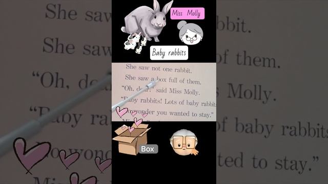 Miss Molly обнаружила в коробке Крольчиху шестью крольчатами