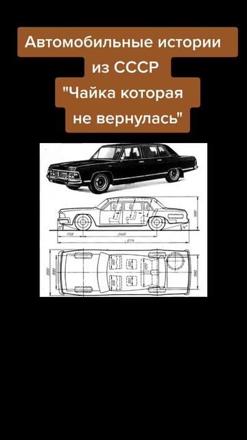 Правительственная чайка