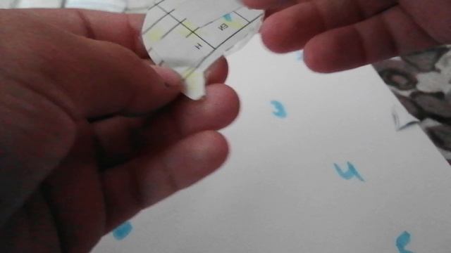 VID_20250615_124447.mp4