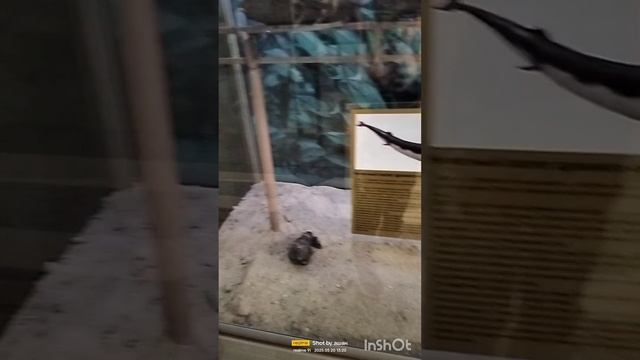 1000038536.mp4