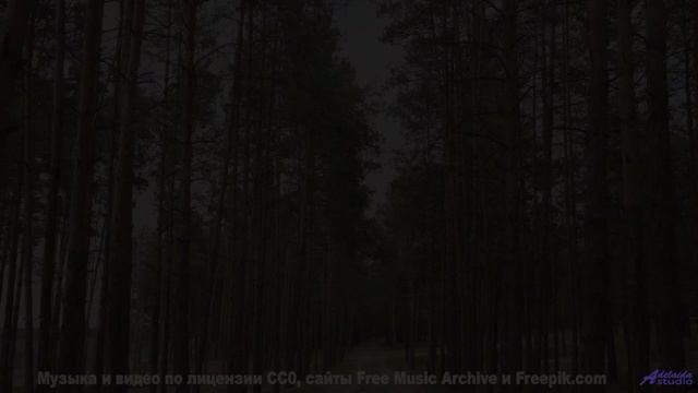 Музыка обнимает мягче любого прикосновения - Stamp -- A. A. Aalto -- Connections