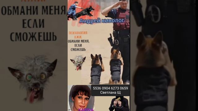Полет Карины над гнездом шахраев!