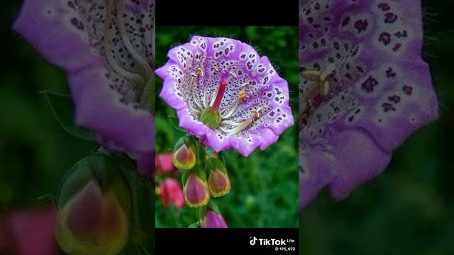 VID_20250608_172037_306.mp4