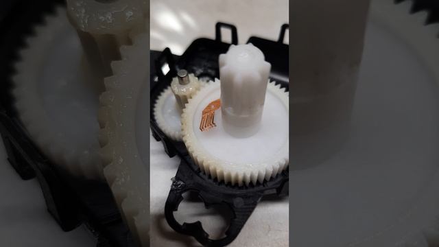 1000017472.mp4